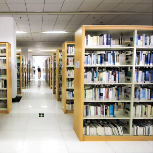 أرفف كتب مزدوجة الجوانب مباشرة - مراجعة Home Office With Library وسعره
